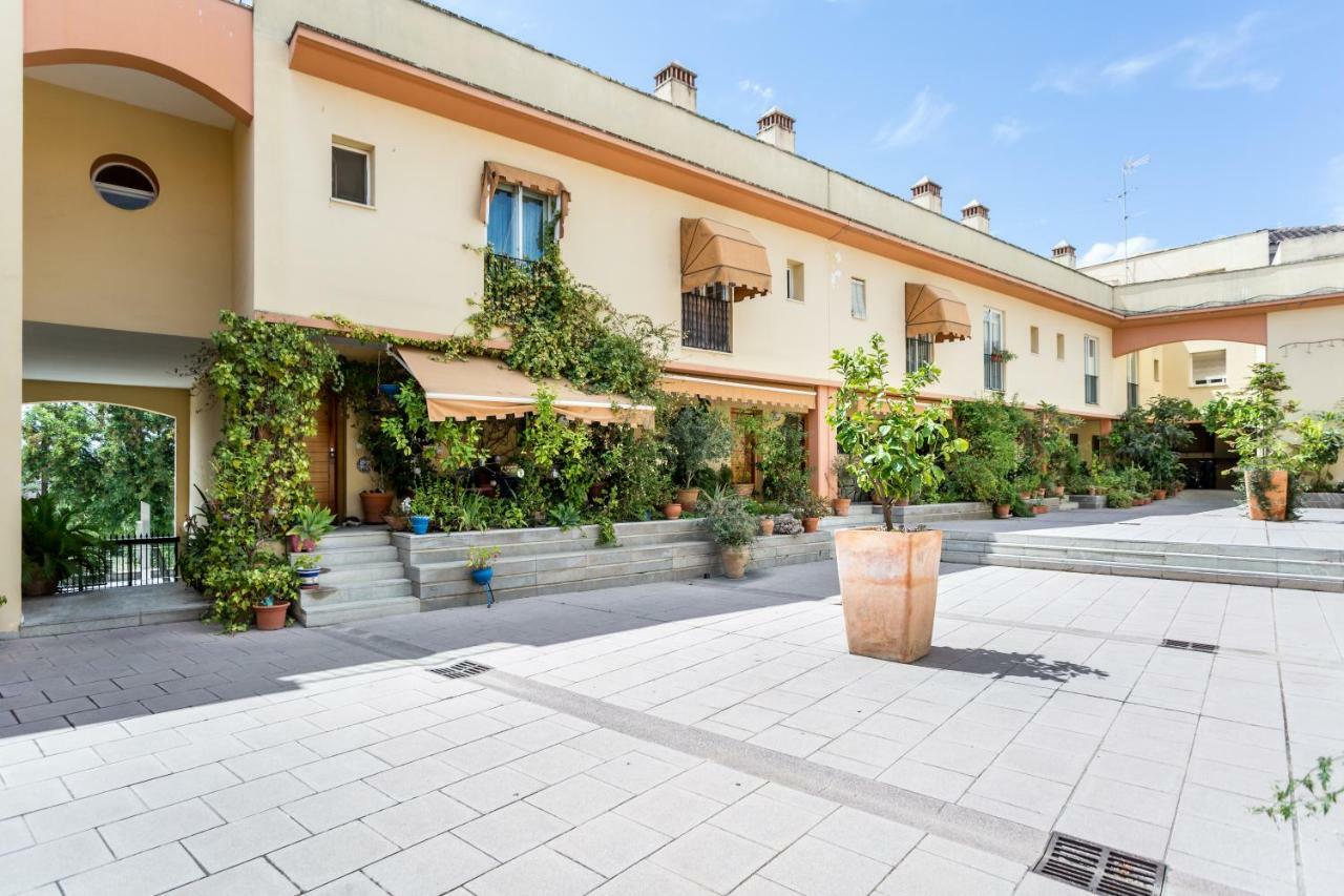 Apartament Amparo Cinco Kordoba Zewnętrze zdjęcie